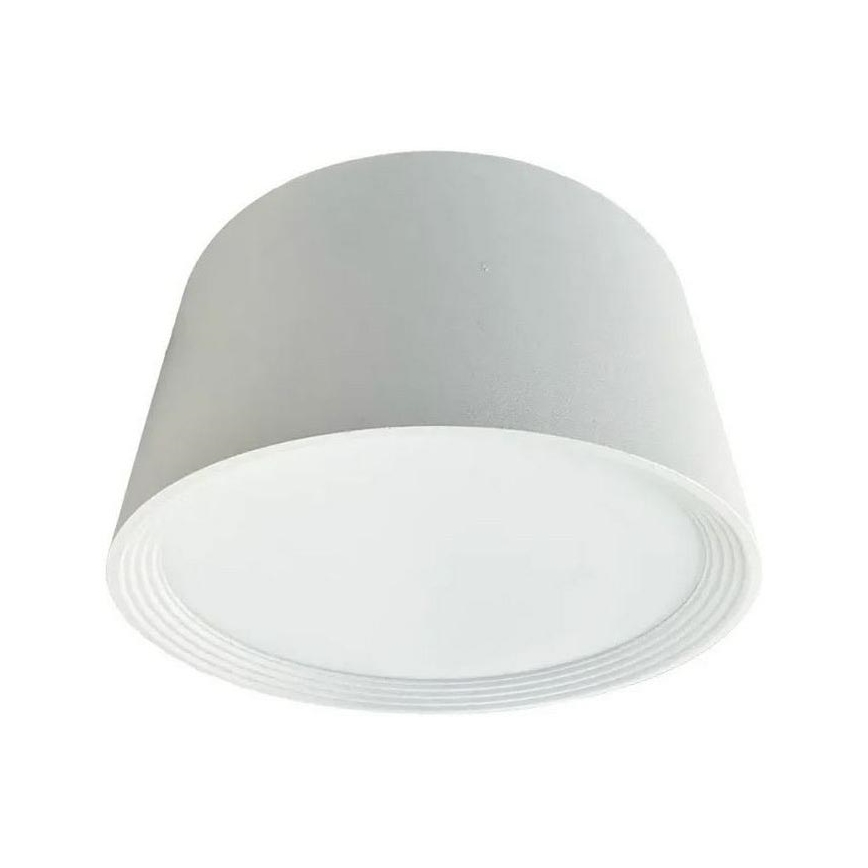 LED akcentinis šviestuvas LED/17W/230V 4000K diametras 15 cm balta