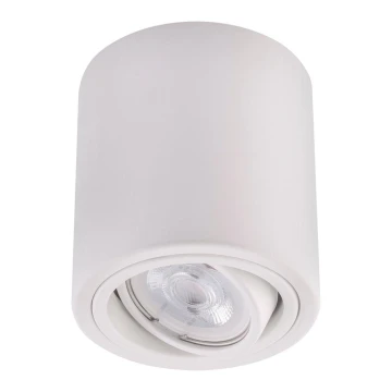 LED Akcentinis šviestuvas TUBA 1xGU10/5W/230V 2700K baltas