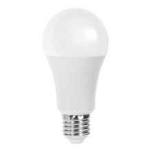 LED elektros lemputė A60 E27/21W/230V 3000K - Aigostar