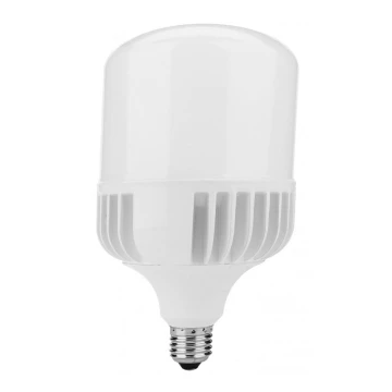 LED elektros lemputė E27/30W/230V 5000K - Ecolite