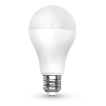 LED elektros lemputė LEDSTAR ECO E27/12W/230V