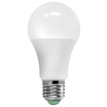 LED elektros lemputė su prieblandos jutikliu ECOLINE A60 E27/12W/230V 3000K -  Brilagi
