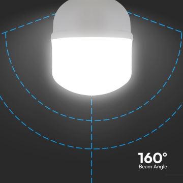 LED elektros lemputė T100 E27/30W/230V 4000K