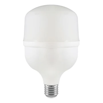 LED elektros lemputė T100 E27/30W/230V 6500K