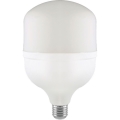 LED elektros lemputė T120 E40 E27/40W/230V 6500K
