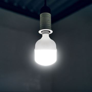 LED elektros lemputė T80 E27/20W/230V 4000K