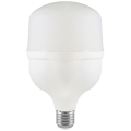 LED elektros lemputė T80 E27/20W/230V 6500K