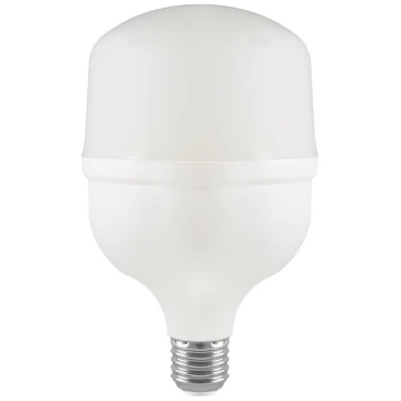 LED elektros lemputė T80 E27/20W/230V 6500K