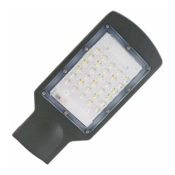 LED gatvės šviestuvas LED/30W/170-400V IP67