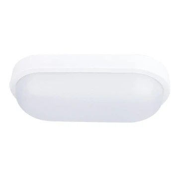 LED Lauko lubinis šviestuvas LED/20W/230V IP54