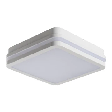 LED Lauko lubų šviestuvas BENO LED/18W/230V 4000K baltas IP54