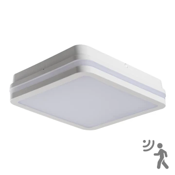 LED Lauko lubų šviestuvas su jutikliu BENO LED/24W/230V 4000K baltas IP54