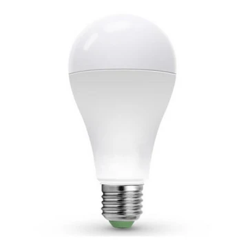 LED Lemputė LEDSTAR ECO A65 E27/20W/230V 4000K