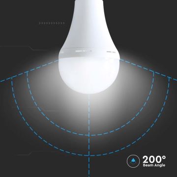 LED Lemputė su avariniu režimu A90 E27/15W/230V 4000K