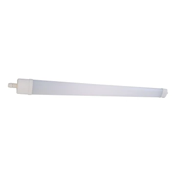 LED Liuminescencinis šviestuvas DAISY LED/30W/230V 4000K IP65