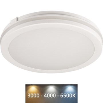 LED lubinis lauko šviestuvas BENO ECO LED/12W/230V 3000/4000/6500K diametras 20 cm IP65 balta