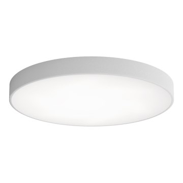 LED lubinis šviestuvas CLEO LED/96W/230V 3000K diametras 80 cm pilka