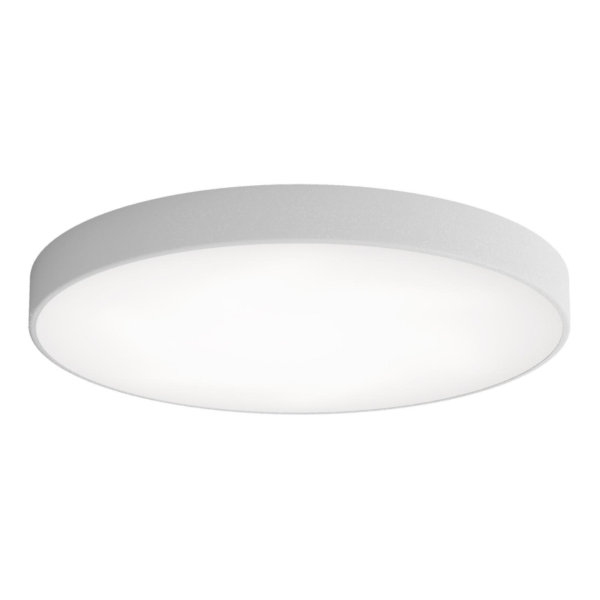 LED lubinis šviestuvas CLEO LED/96W/230V 4000K diametras 80 cm pilka