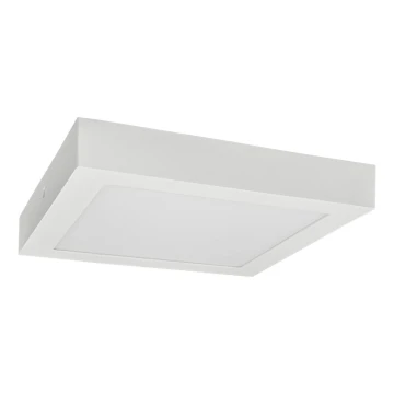 LED lubinis šviestuvas FENIX LED/12W/230V 2800K 17 cm