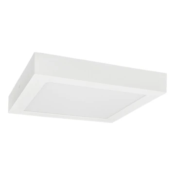 LED lubinis šviestuvas FENIX LED/18W/230V 3800K 22,5 cm sniegas balta