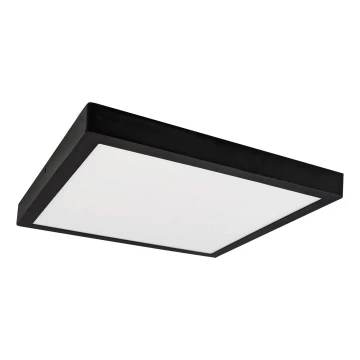 LED Lubinis šviestuvas FENIX LED/24W/230V 3800K 29,8 cm