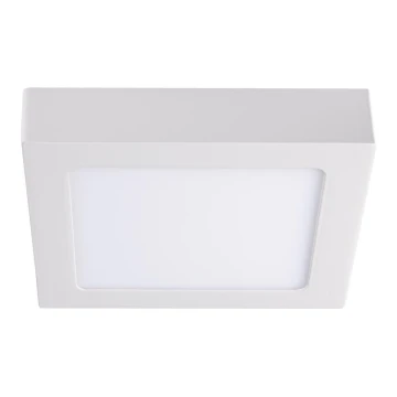 LED Lubinis šviestuvas KANTI LED/12W/230V 3000K baltas