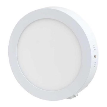 LED lubinis šviestuvas LED/12W/230V