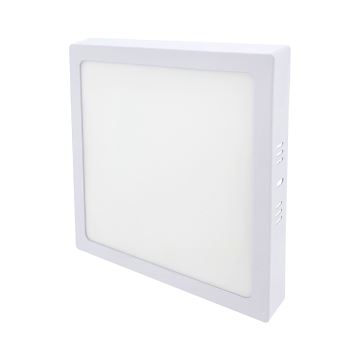 LED lubinis šviestuvas LED/18W/230V 4200K