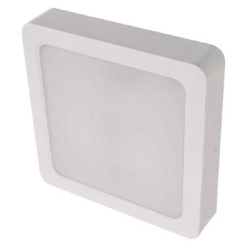 LED Lubinis šviestuvas LED/24W/230V 22x22 cm baltas