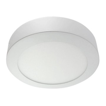 LED lubinis šviestuvas LED/24W/230V 4200K