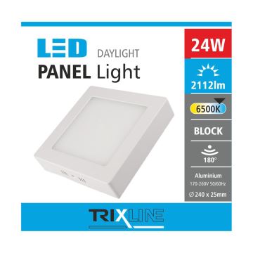 LED lubinis šviestuvas LED/24W/230V 6500K
