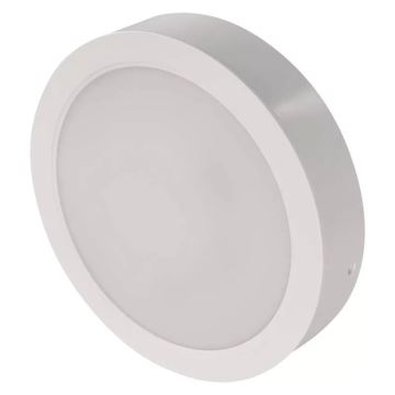 LED Lubinis šviestuvas LED/24W/230V d. 22 cm baltos spalvos