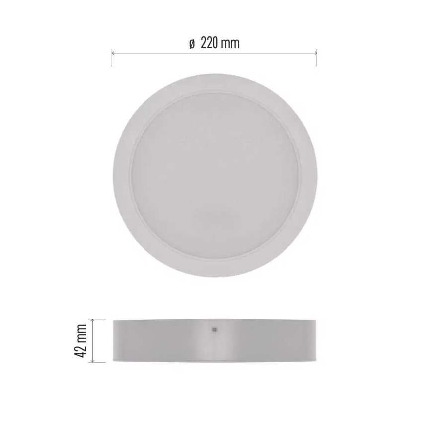 LED Lubinis šviestuvas LED/24W/230V d. 22 cm baltos spalvos