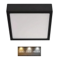 LED Lubinis šviestuvas NEXXO LED/12,5W/230V 3000/3500/4000K 17x17 cm juodas