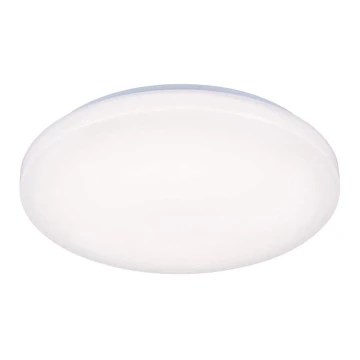 LED lubinis šviestuvas OPAL LED/50W/176-264V