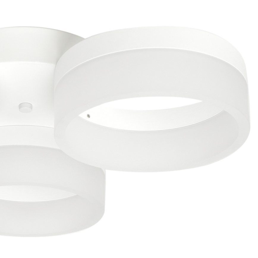 LED lubinis šviestuvas RING 3xLED/12W/230V balta