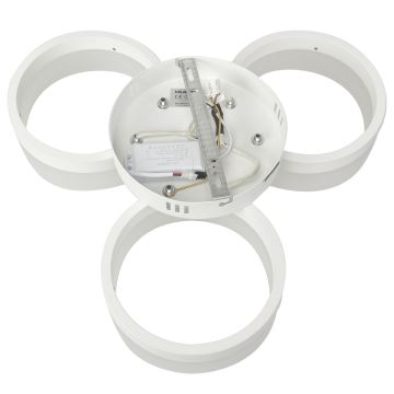 LED lubinis šviestuvas RING 3xLED/12W/230V balta