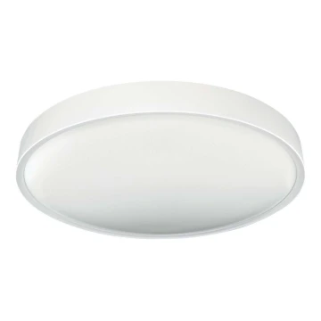 LED lubinis šviestuvas SAMER LED/32W/230V 4000K