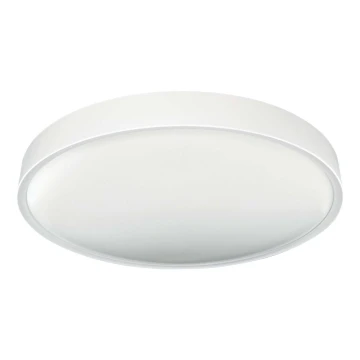 LED lubinis šviestuvas SAMER LED/40W/230V 4000K