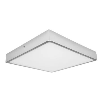 LED lubinis vonios šviestuvas EGON LED/30W/230V IP44 3000K