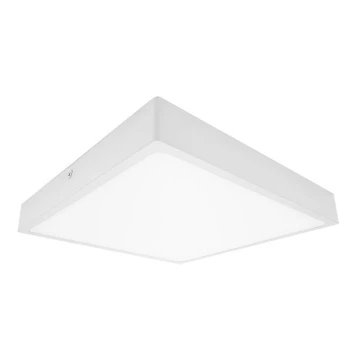 LED lubinis vonios šviestuvas EGON LED/30W/230V IP44 3000K