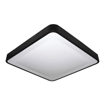 LED lubų šviestuvas su jutikliu WILTON LED / 24W / 230V juoda