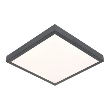 LED Lubų šviestuvas VITALI LED / 24W / 230V