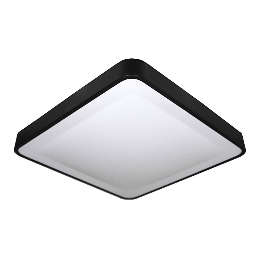 LED lubų šviestuvas WILTON LED / 24W / 230V juodas