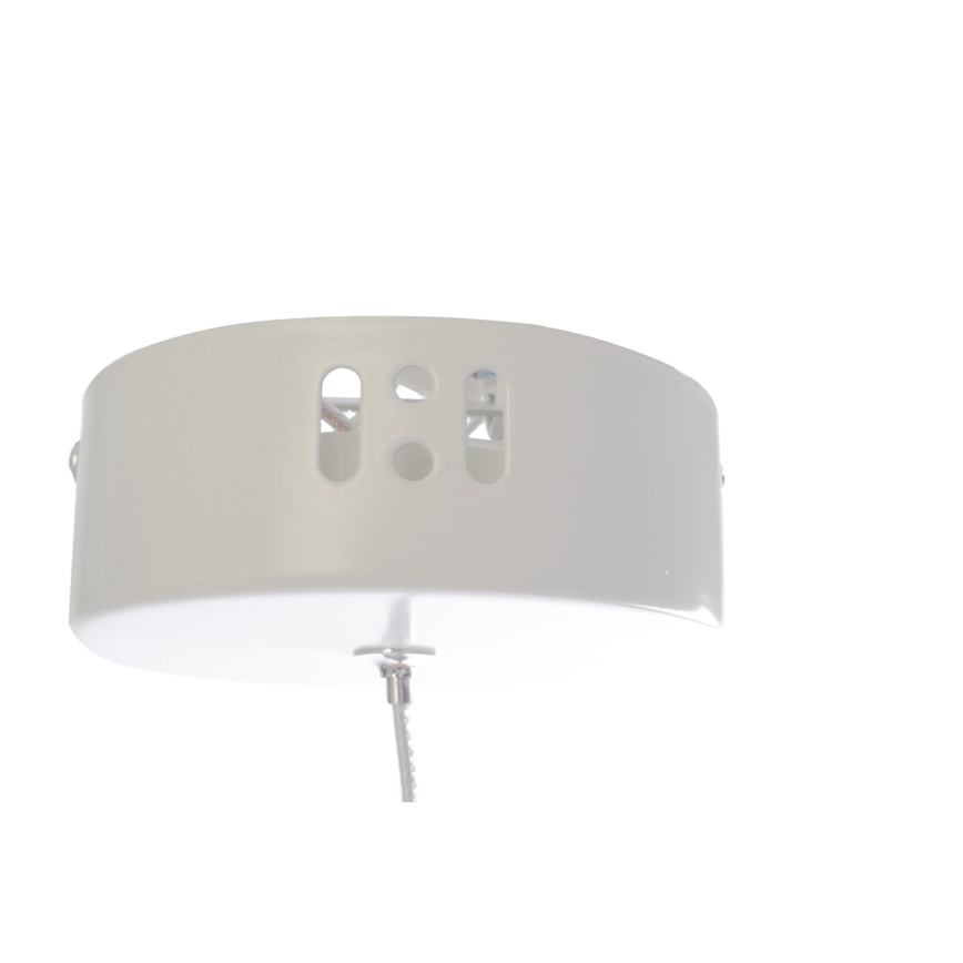 LED Pakabinamas sietynas ALBA 1xLED/5W/230V baltas