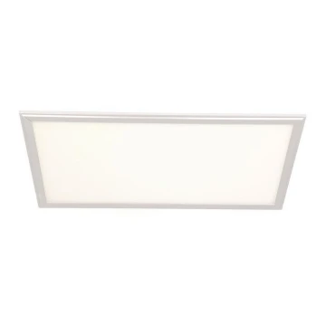 LED panelė LED/24W/230V 4000K