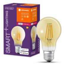LED pritemdoma elektros lemputė SMART+ FILAMENT A55 E27/6W/230V 2400K - Ledvance