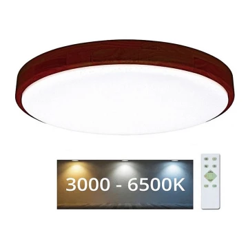 LED Pritemdomas lubinis šviestuvas LENA LED/24W/230V 3000-6500K ąžuolas + nuotolinio valdymo pultas