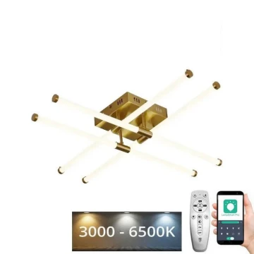 LED Pritemdomas tvirtinamas sietynas LED/30W/230V 3000-6500K + nuotolinio valdymo pultas