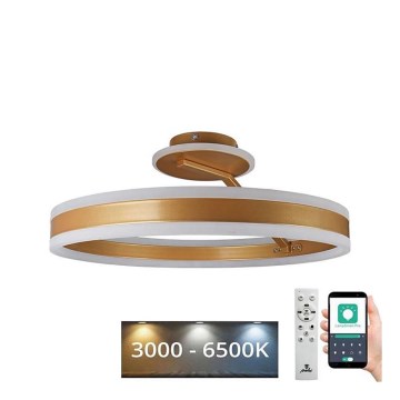 LED Pritemdomas tvirtinamas sietynas LED/86W/230V 3000-6500K auksas + nuotolinio valdymo pultas